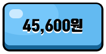 45,600원